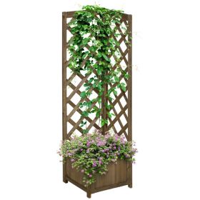 Wooden Raised Garden Bed, Planter with Trellis for Vine Climbing and Vegetables, Herbs and Flowers Growing, Carbonized (Option: Carbonized-1560x440x90 mm)
